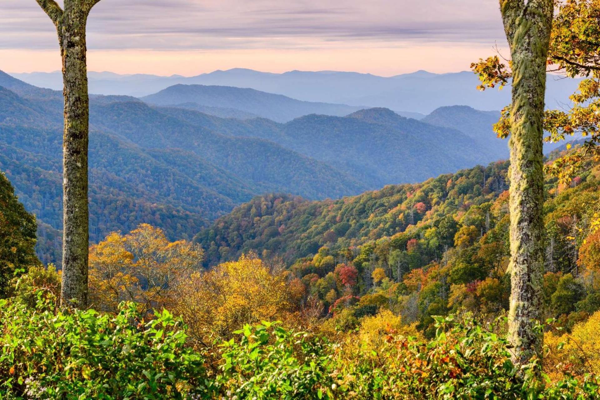 Mill Stream Cottage Pigeon Forge Ngoại thất bức ảnh